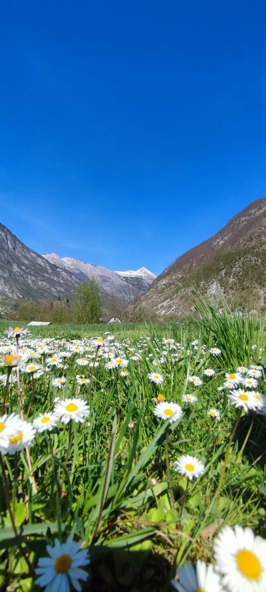 Apartma Soca Oasis Srpenica Dış mekan fotoğraf