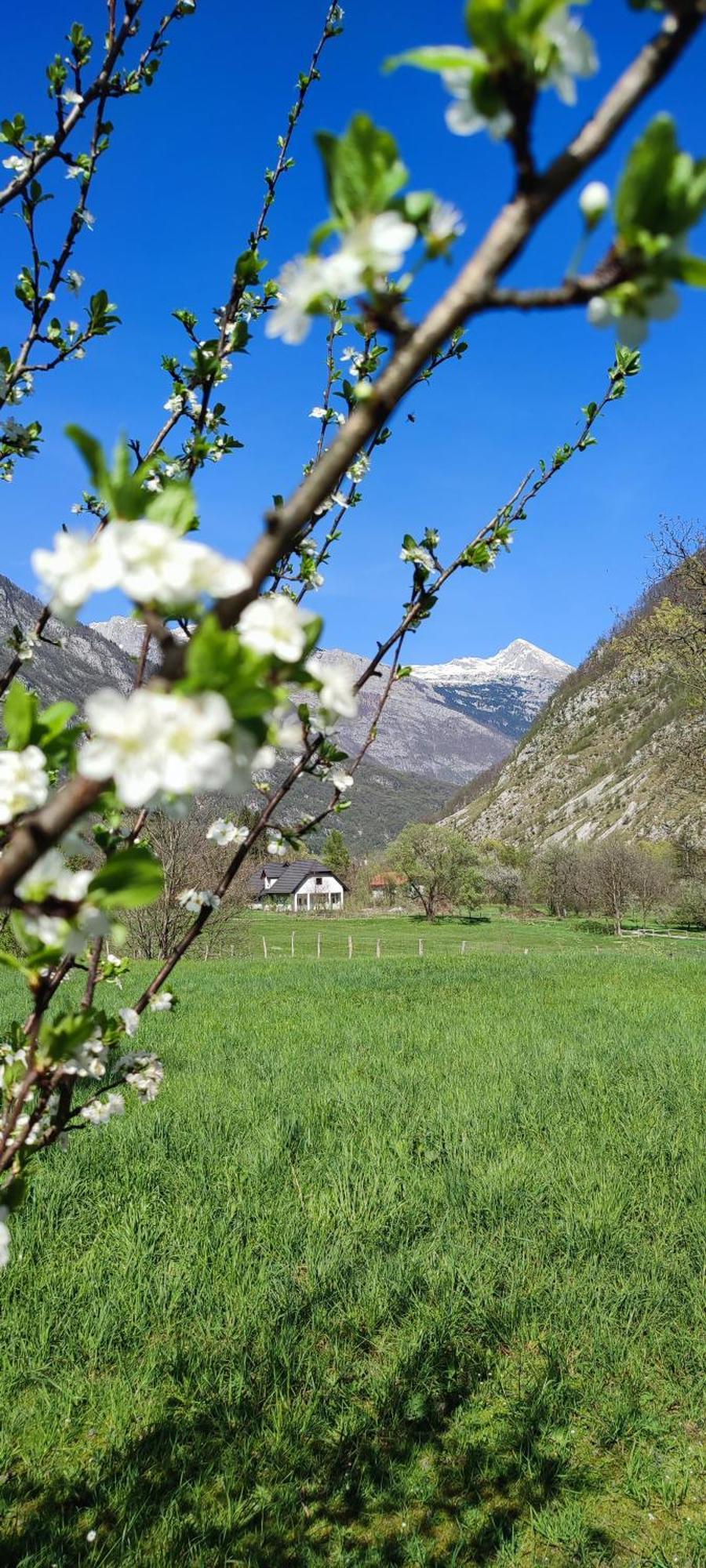 Apartma Soca Oasis Srpenica Dış mekan fotoğraf